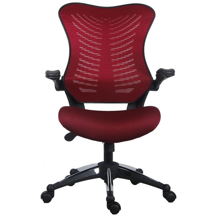 Cadeira-de-Escritorio-Ergonomica-e-Reclinavel-para-ate-113-foto-1