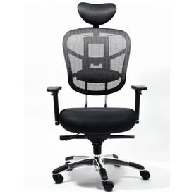 Cadeira-de-Escritorio-Ergonomica-e-Reclinavel-com-Encosto-foto-0