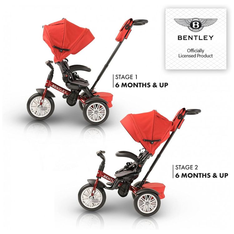 Triciclo-Infantil-para-Passeio-com-Assento-Ajustavel-6-foto-2