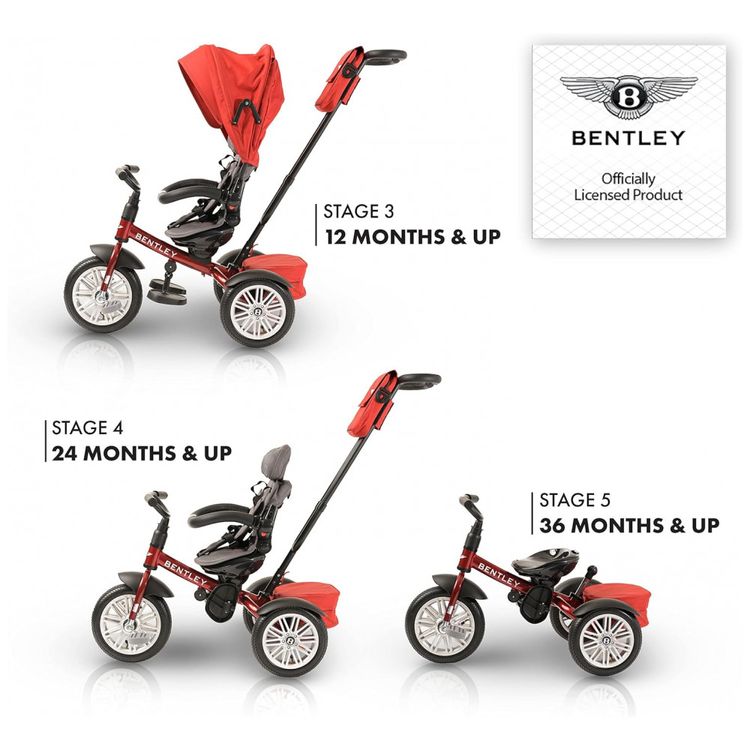 Triciclo-Infantil-para-Passeio-com-Assento-Ajustavel-6-foto-3