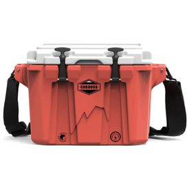 Cooler-Termico-Portatil-20-Litros-com-Alca-e-Isolamento-foto-0