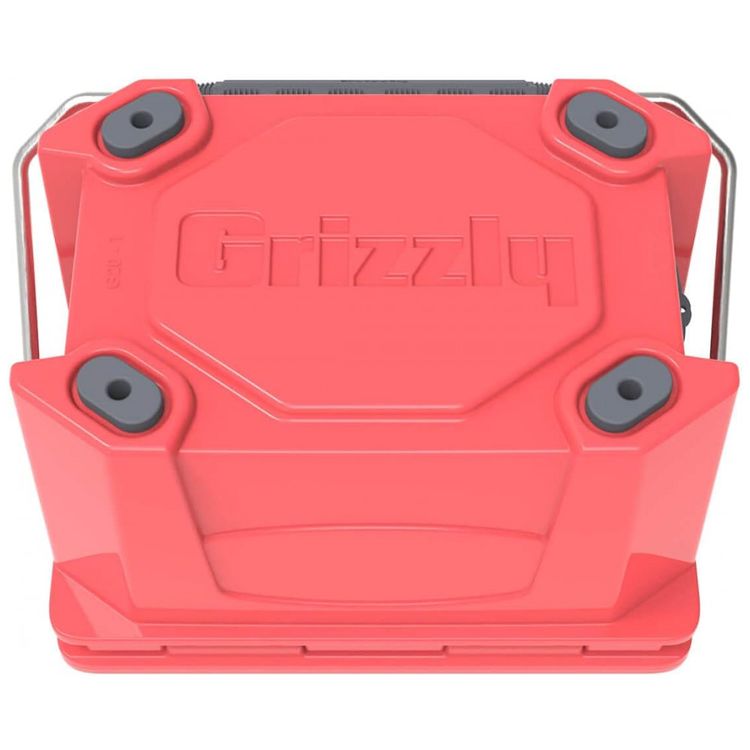 Cooler-Termico-Portatil-20-Litros-Grizzly-Coral-foto-2