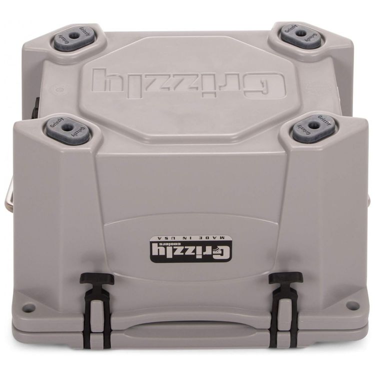 Cooler-Termico-Portatil-20-Litros-com-Alca-Grizzly-G20-foto-4