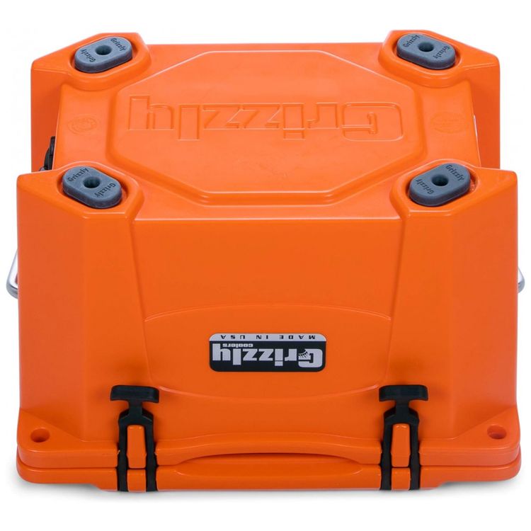 Cooler-Termico-Portatil-20-Litros-com-Alca-Grizzly-G20-foto-4