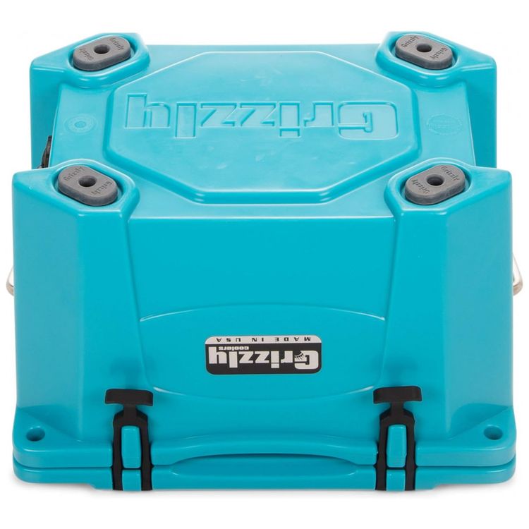 Cooler-Termico-Portatil-20-Litros-com-Alca-Grizzly-G20-foto-4