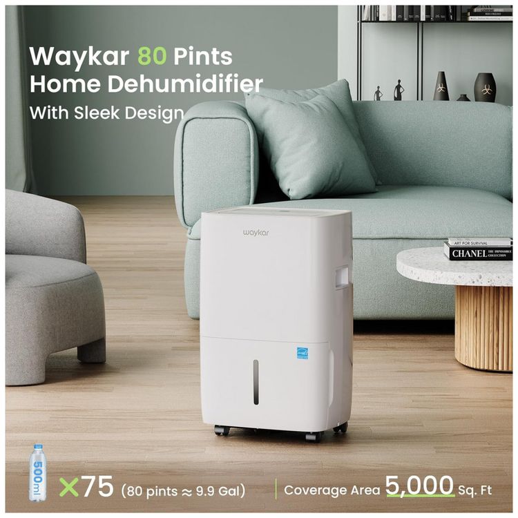 Desumidificador-para-Grandes-Ambientes-4.3L-ate-460-m2-foto-1