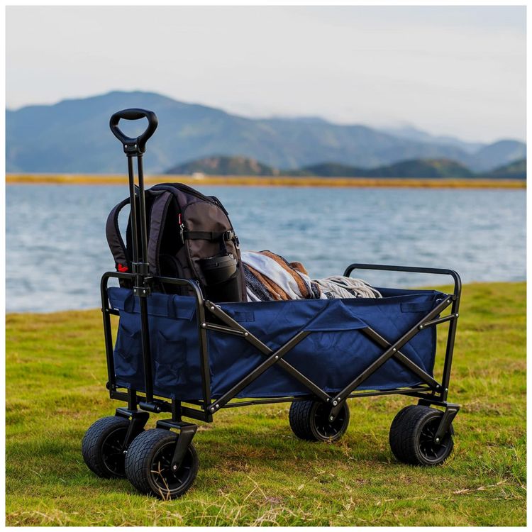 Carrinho-Dobravel-para-Camping-e-Jardim-Capacidade-80kg-foto-2