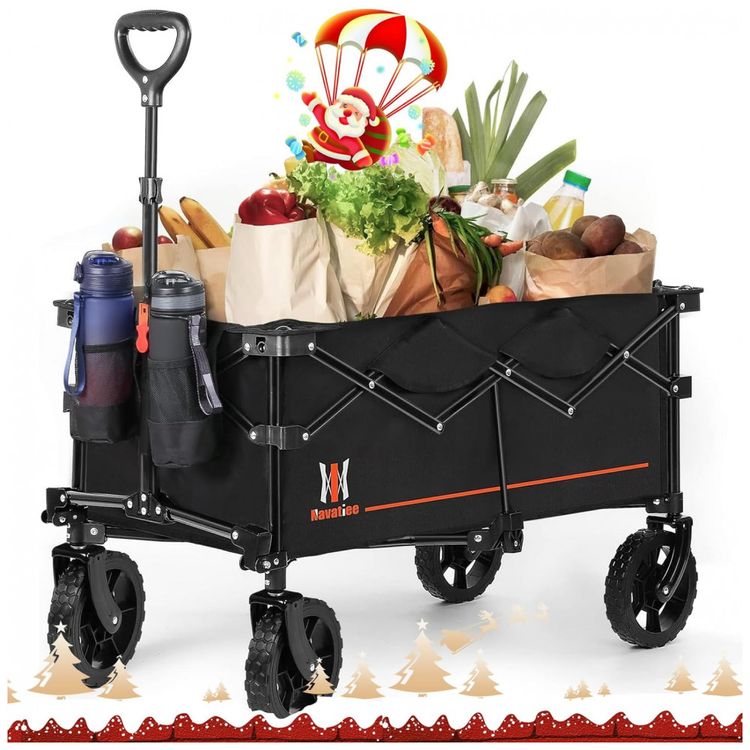 Carrinho-Dobravel-para-Camping-e-Jardim-Capacidade-100kg-foto-0