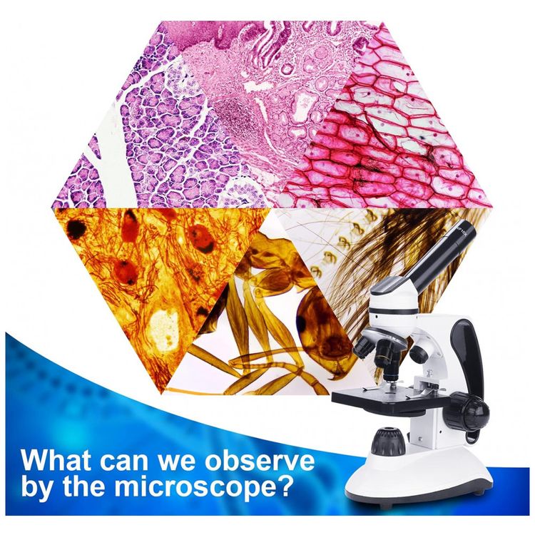 Microscopio-Monocular-40X-2000X-com-Iluminacao-LED-para-foto-2
