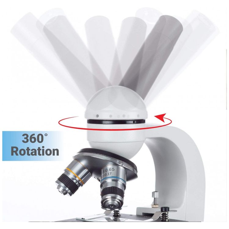 Microscopio-Composto-Biologico-40X-1000X-sem-Fio-com-Lentes-foto-4