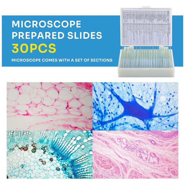 Microscopios-Monocular-40X-2000X-para-Criancas-Estudantes-e-foto-4