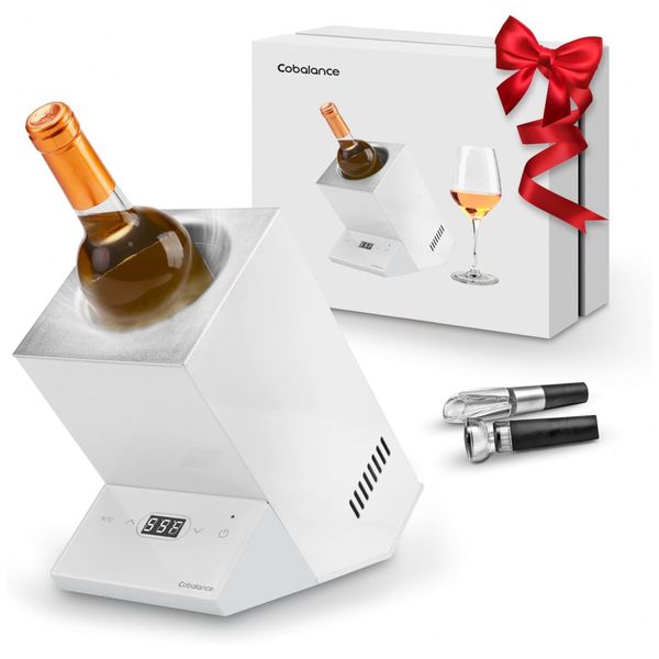 Resfriador-para-Garrafa-de-Vinho-Eletrico-com-Controle-foto-0