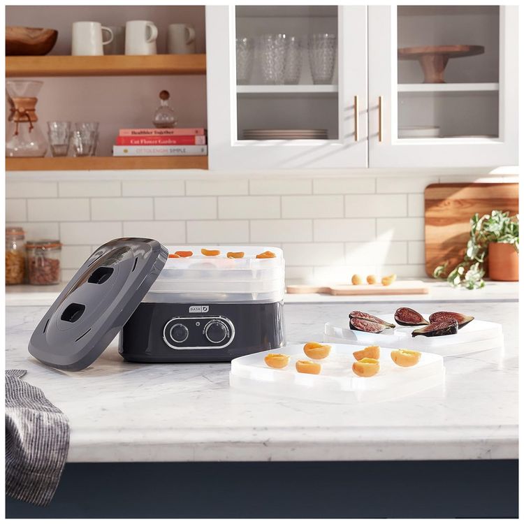 Desidratador-de-Alimentos-com-5-Bandejas-e-Controle-de-foto-4