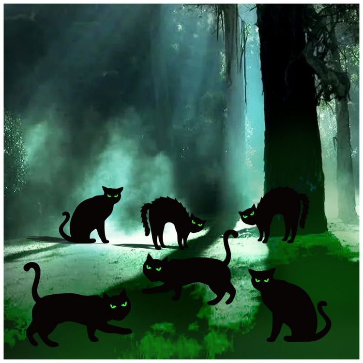 Kit-Decoracao-para-Halloween-6-Estacas-de-Gato-Preto-com-foto-5