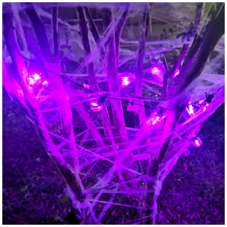 Pisca-Pisca-Teia-de-Aranha-15-LEDS-Lampada-G40-Resistente-foto-1