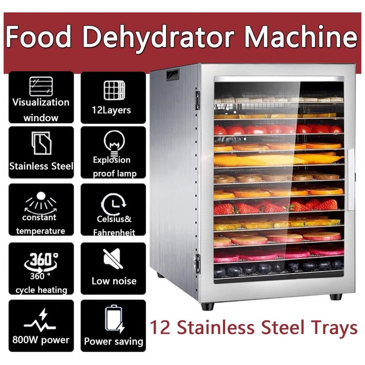 Desidratador-de-Alimentos-Profissional-com-10-Bandejas-e-foto-1