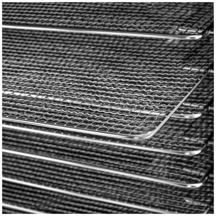 Desidratador-de-Alimentos-Profissional-com-10-Bandejas-Aco-foto-4