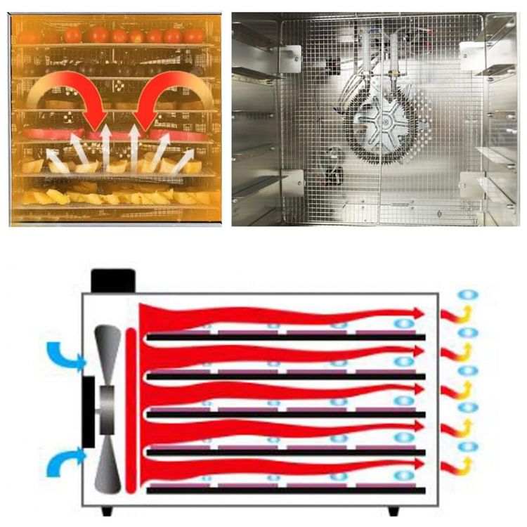 Desidratador-de-Alimentos-Profissional-com-10-Bandejas-em-foto-2
