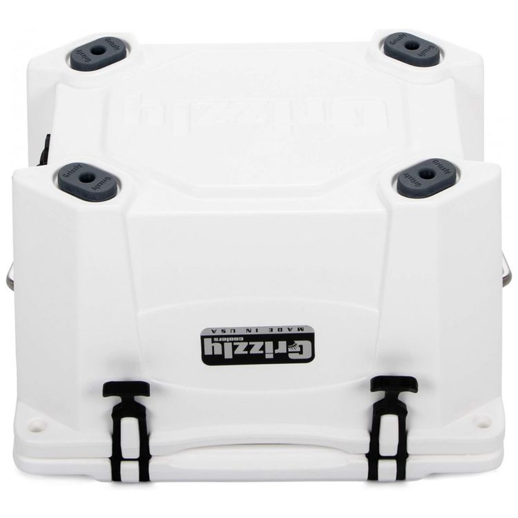 Cooler-Termico-Portatil-20-Litros-com-Alca-Grizzly-G20-foto-4