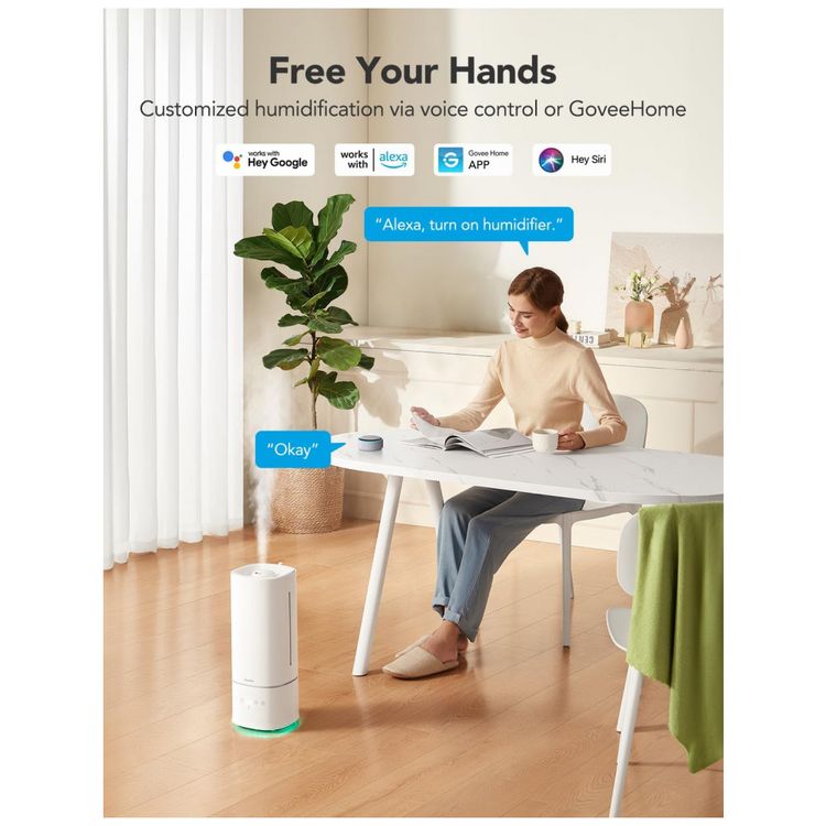 Umidificador-para-Ambientes-Grandes-6L-com-Bicos-Duplos-de-foto-2