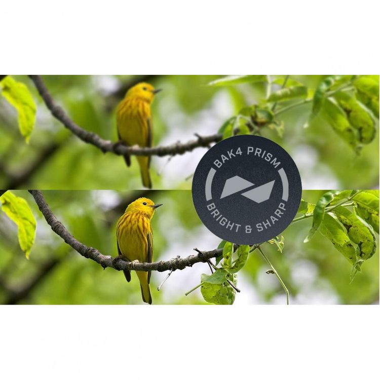 Bushnell-BN130105-Binoculos-10x25-A-prova-dAgua-Visao-100-foto-2
