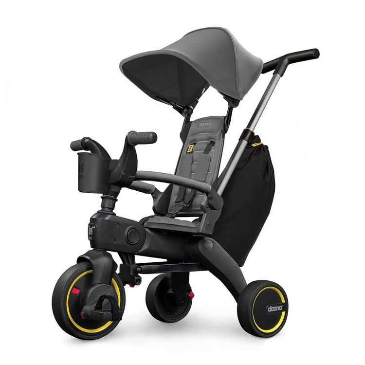 Triciclo-Infantil-para-Passeio-Idade-Recomendada-10-Meses-a-foto-0