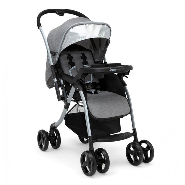 Carrinho-de-Bebe-para-Passeio-com-Alca-Reversivel-Delta-foto-0