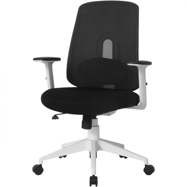 Cadeira-de-Escritorio-Ergonomica-Giratoria-com-Suporte-foto-0