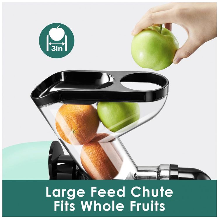 Espremedor-de-Frutas-Lento-de-Alto-Rendimento-Denso-em-foto-1