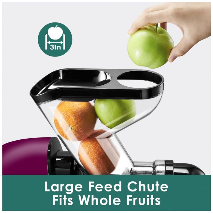 Espremedor-de-Frutas-Lento-de-Alto-Rendimento-Denso-em-foto-1