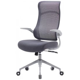 Cadeira-de-Escritorio-Ergonomica-com-Apoio-Lombar-e-Bracos-foto-0
