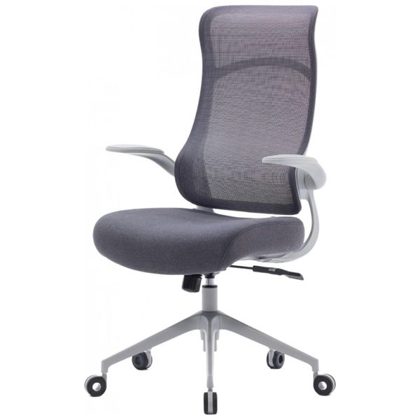 Cadeira-de-Escritorio-Ergonomica-com-Apoio-Lombar-e-Bracos-foto-0