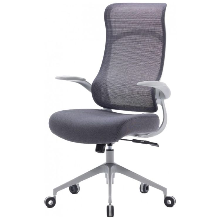 Cadeira-de-Escritorio-Ergonomica-com-Apoio-Lombar-e-Bracos-foto-0