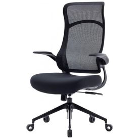 Cadeira-de-Escritorio-Ergonomica-com-Apoio-Lombar-e-Bracos-foto-0
