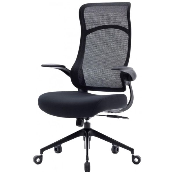 Cadeira-de-Escritorio-Ergonomica-com-Apoio-Lombar-e-Bracos-foto-0