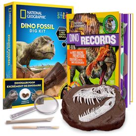 Kit-Livro-de-Dinossauro-e-de-Fossil-de-Dente-de-Dinossauro-foto-0