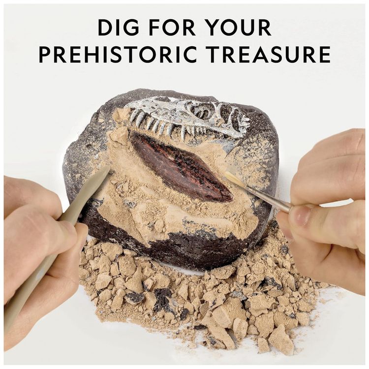 Kit-Livro-de-Dinossauro-e-de-Fossil-de-Dente-de-Dinossauro-foto-1
