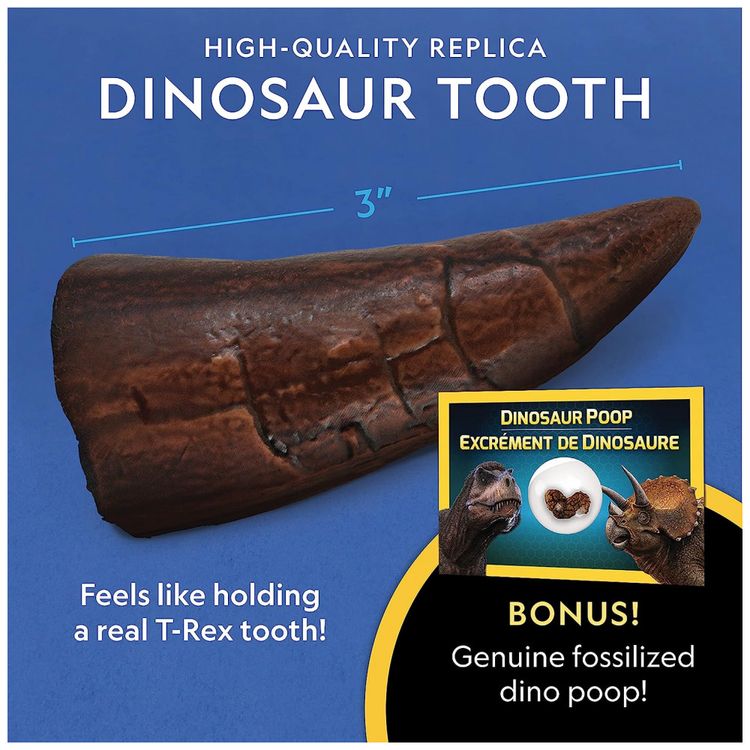 Kit-Livro-de-Dinossauro-e-de-Fossil-de-Dente-de-Dinossauro-foto-3