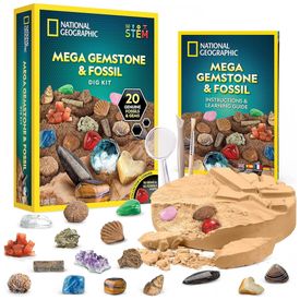 Kit-de-Escavacao-com-20-Fosseis-e-Pedras-Preciosas-Reais-foto-0