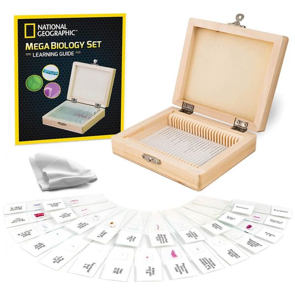 Conjunto-de-Amostras-de-Nivel-Profissional-25-Laminas-de-foto-0