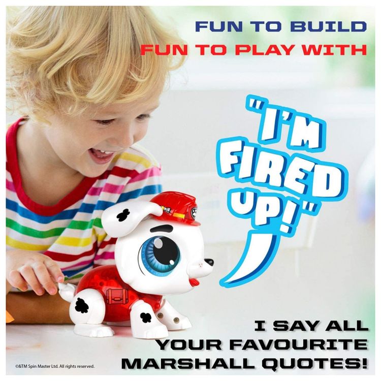 Patrulha-Canina-Robo-Educativo-para-Montagem-Chase-para-foto-4
