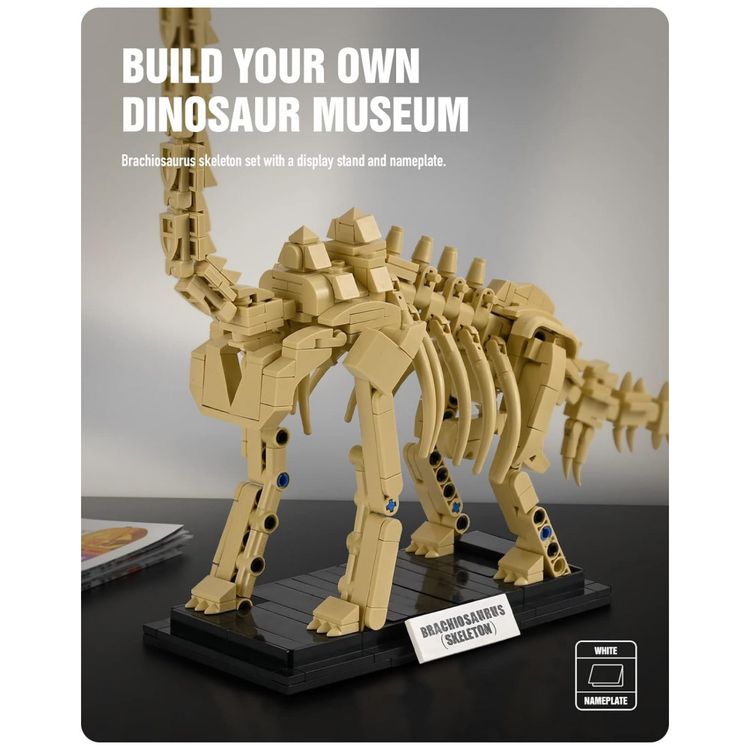 Kit-de-Construcao-Fossil-de-Dinossauro-Mosasaurus-com-498-foto-1