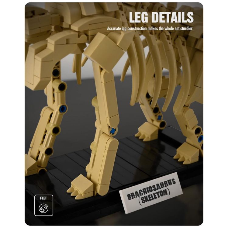 Kit-de-Construcao-Fossil-de-Dinossauro-Mosasaurus-com-498-foto-5