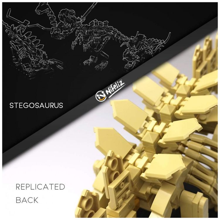 Kit-de-Construcao-Fossil-de-Dinossauro-Stegosaurus-com-491-foto-2