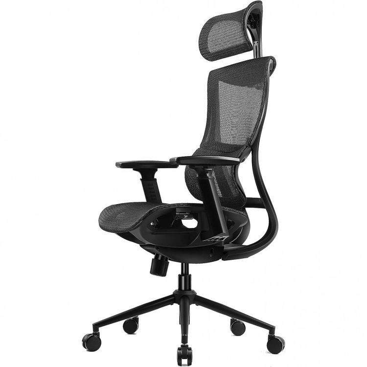 Dowinx-Cadeira-de-Escritorio-Ergonomica-Giratoria-e-foto-0