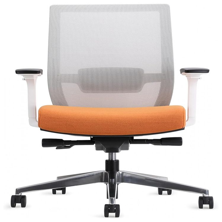 EasyErgo-Cadeira-de-Escritorio-Ergonomica-Giratoria-e-foto-1