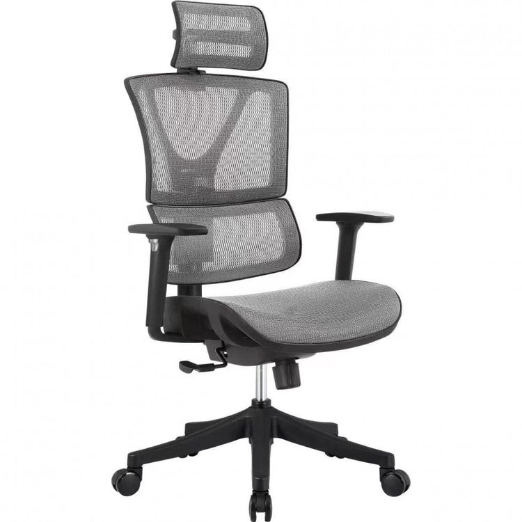 ERGOUP-DV-10-Cadeira-de-Escritorio-Ergonomica-Giratoria-e-foto-0