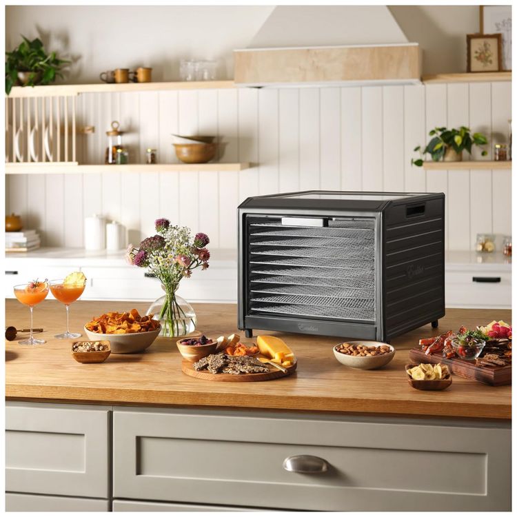 Desidratador-de-Alimentos-com-10-Bandejas-Controle-de-foto-4