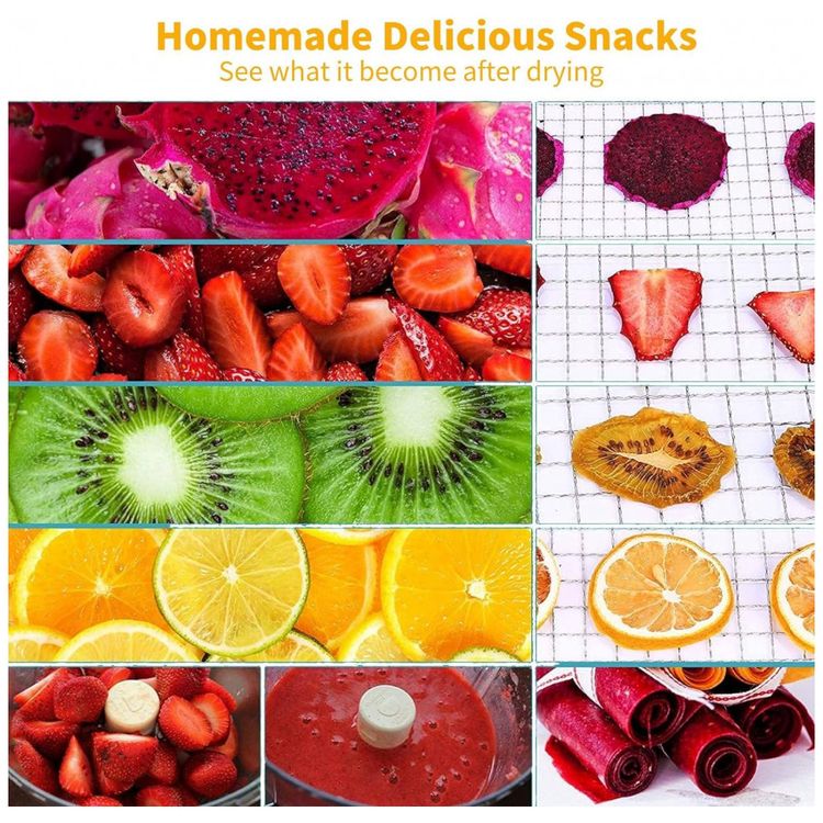 Desidratador-de-Alimentos-com-8-Bandejas-e-Temporizador-foto-5