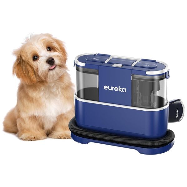 Extratora e Higienizadora Portátil de Carpetes e Estofados, Remove Manchas e Odores, 110V, Eureka, Azul
